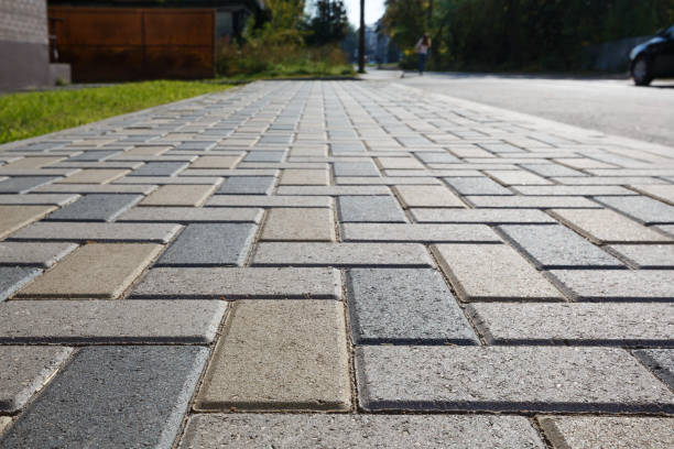 Best Local Driveway Pavers  in Eunice, NM
