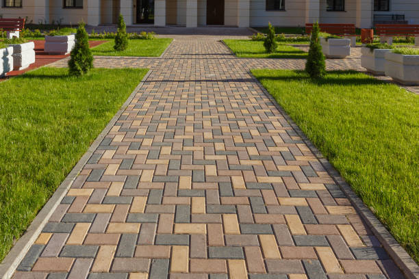 Best Driveway Paver Repair  in Eunice, NM